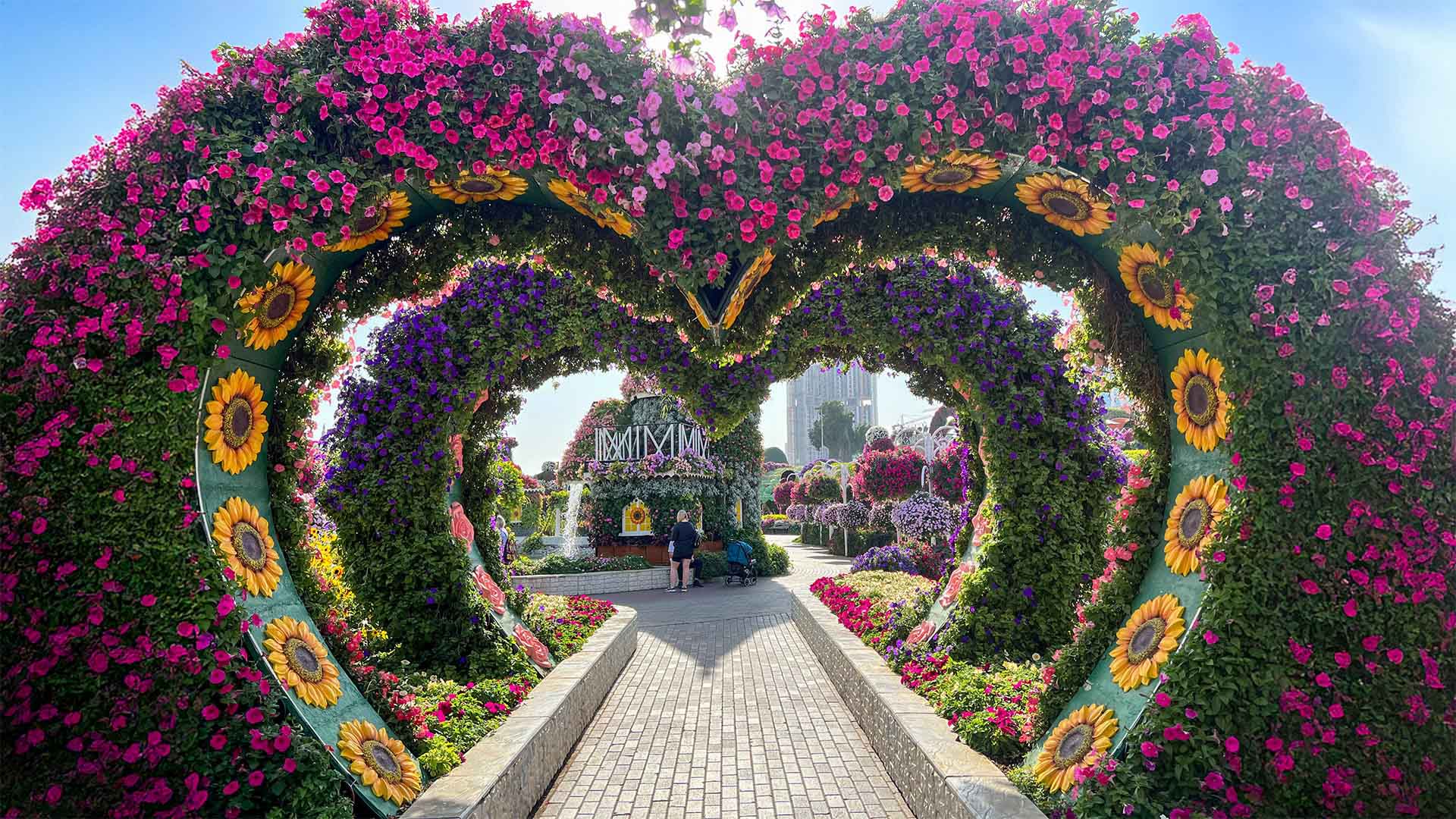 Heart Tunnel view 4