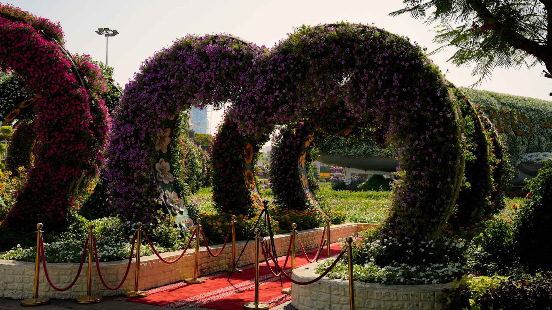 Heart Tunnel view 5